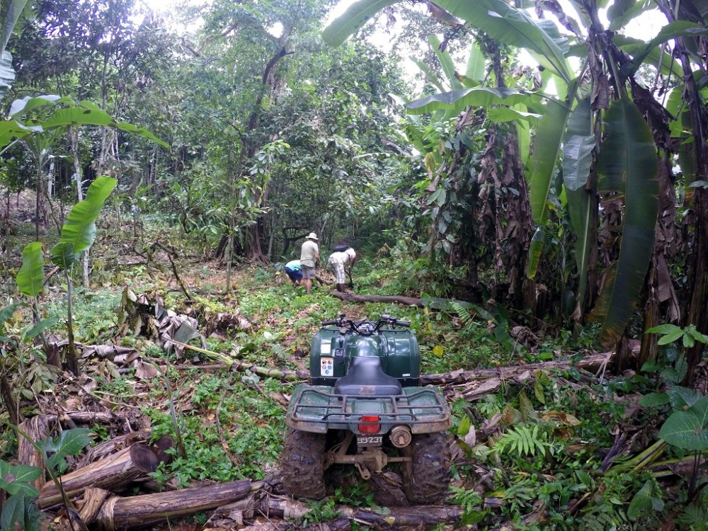 DCIM100GOPROGOPR0186.